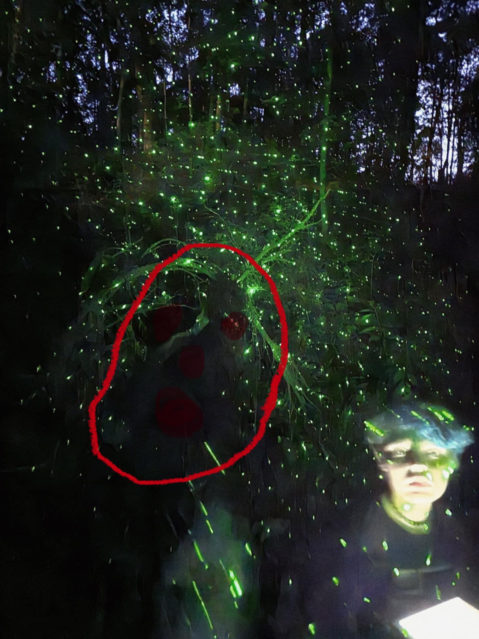 Elementals Face